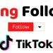 tăng fl tiktok